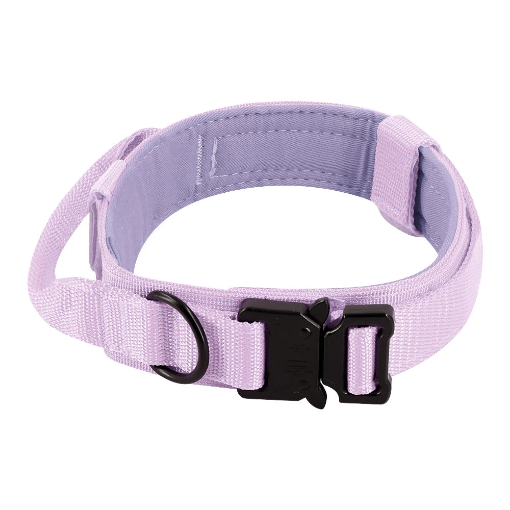 PETRAVEL Adjustable Dog Training Collar With Leash Set