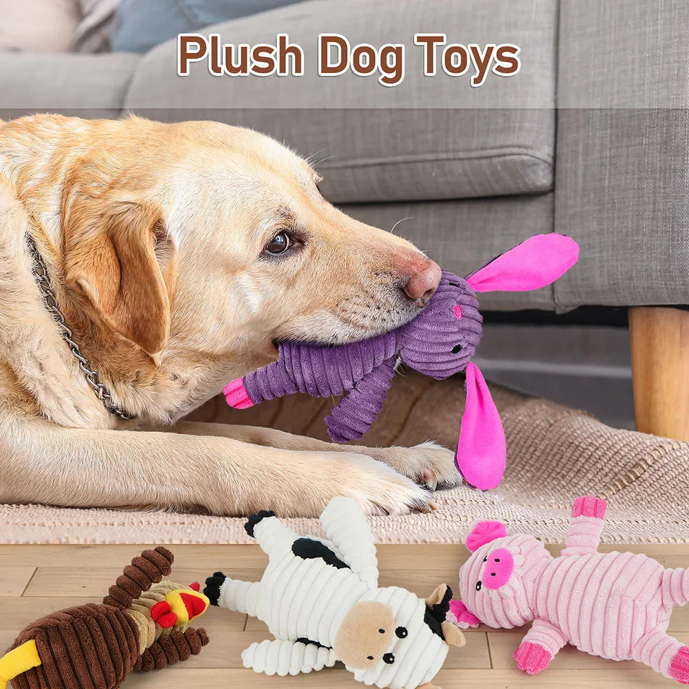 Five Pack Plush Dog Toys Squeaky Set Assorted Value Bundle For Dogs