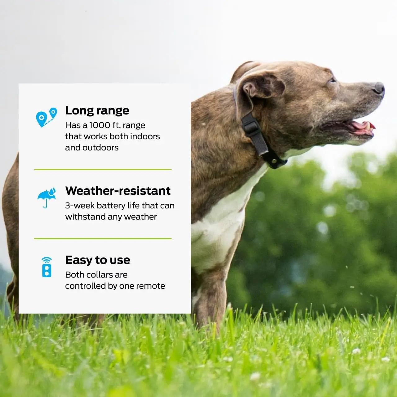 Dog Training Collar With Remote 1000ft Range Waterproof
