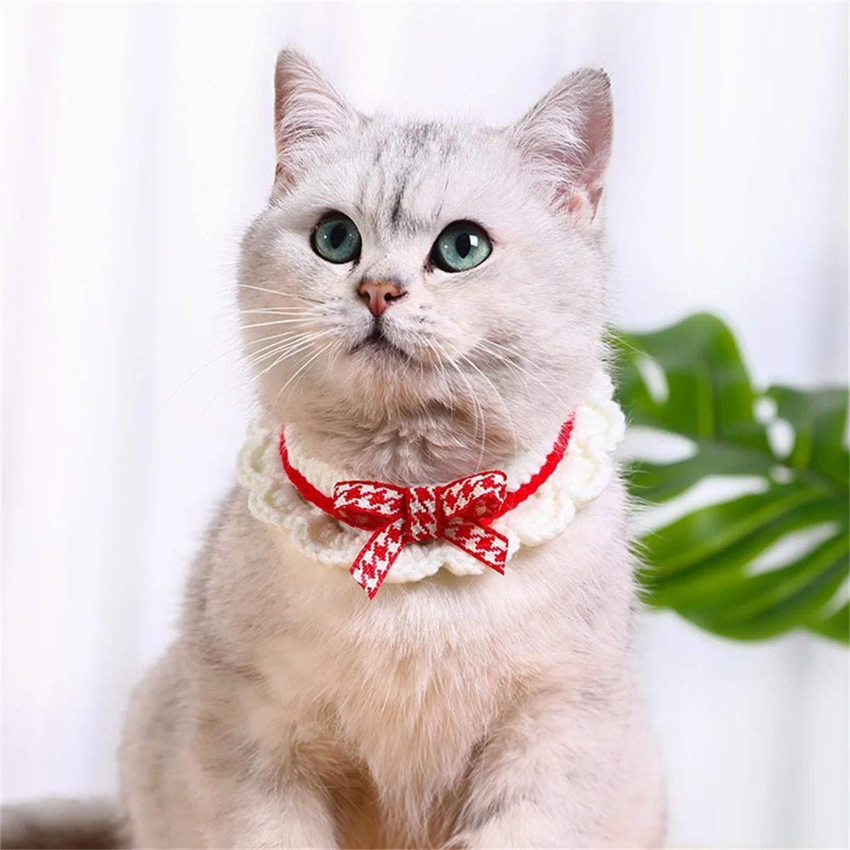 Cute Bow Knot Hand-Knitted Pet Collar Accessory for Small Pets