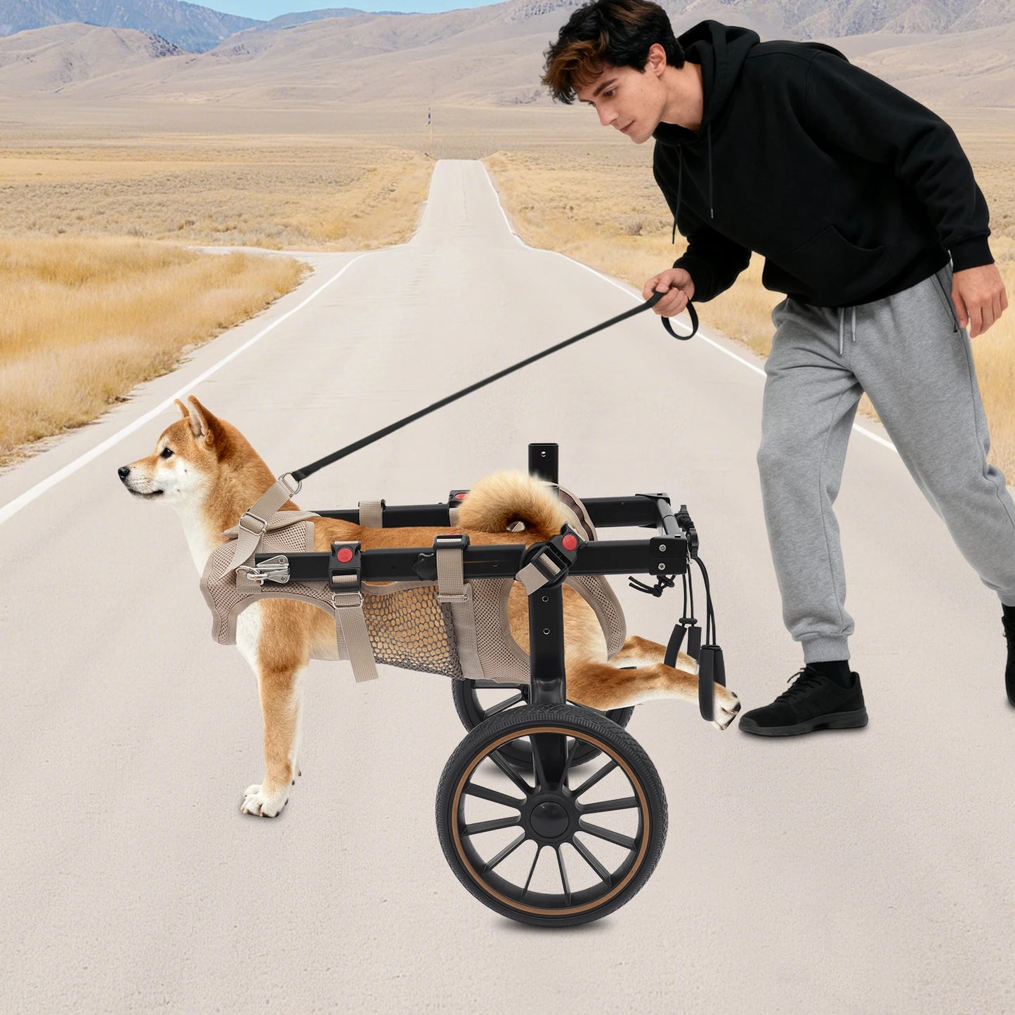 Dog Walking Aid Adjustable Wheelchair For Hind Leg Support