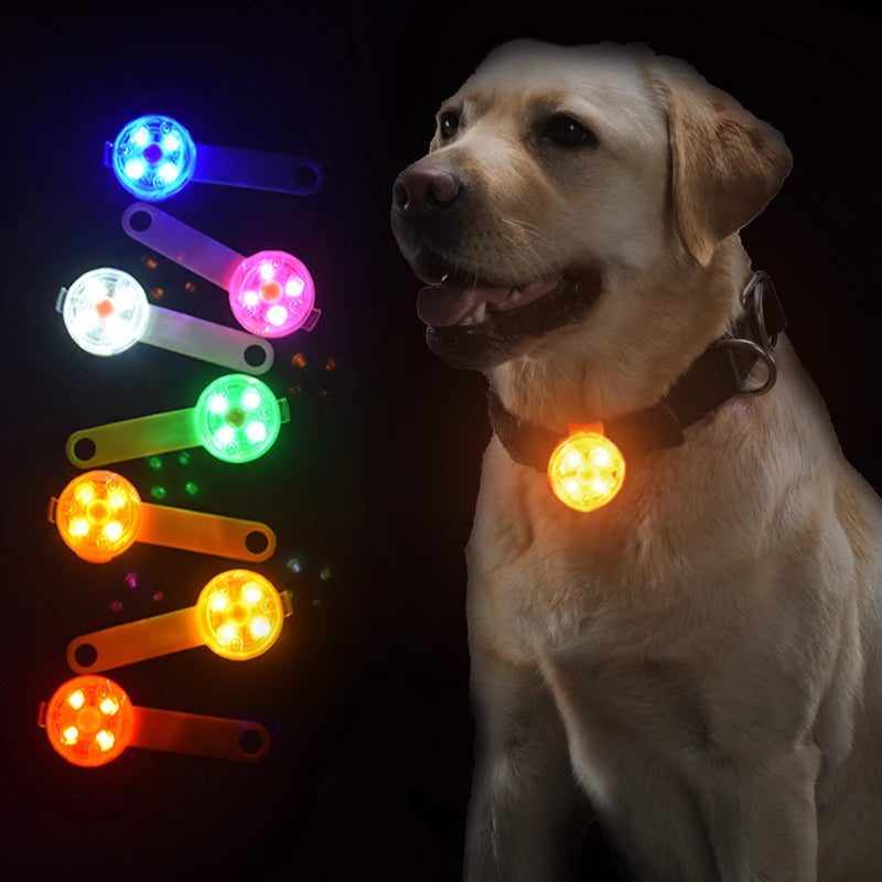 LED Pet Collar Pendant For Dogs And Cats Night Safety Light IPX7 Waterproof