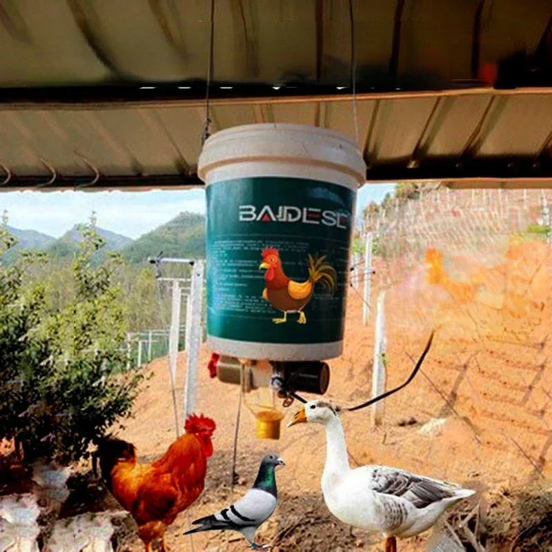 Automatic Poultry Feeder Timed Feeding For Chicken Pigeon Duck