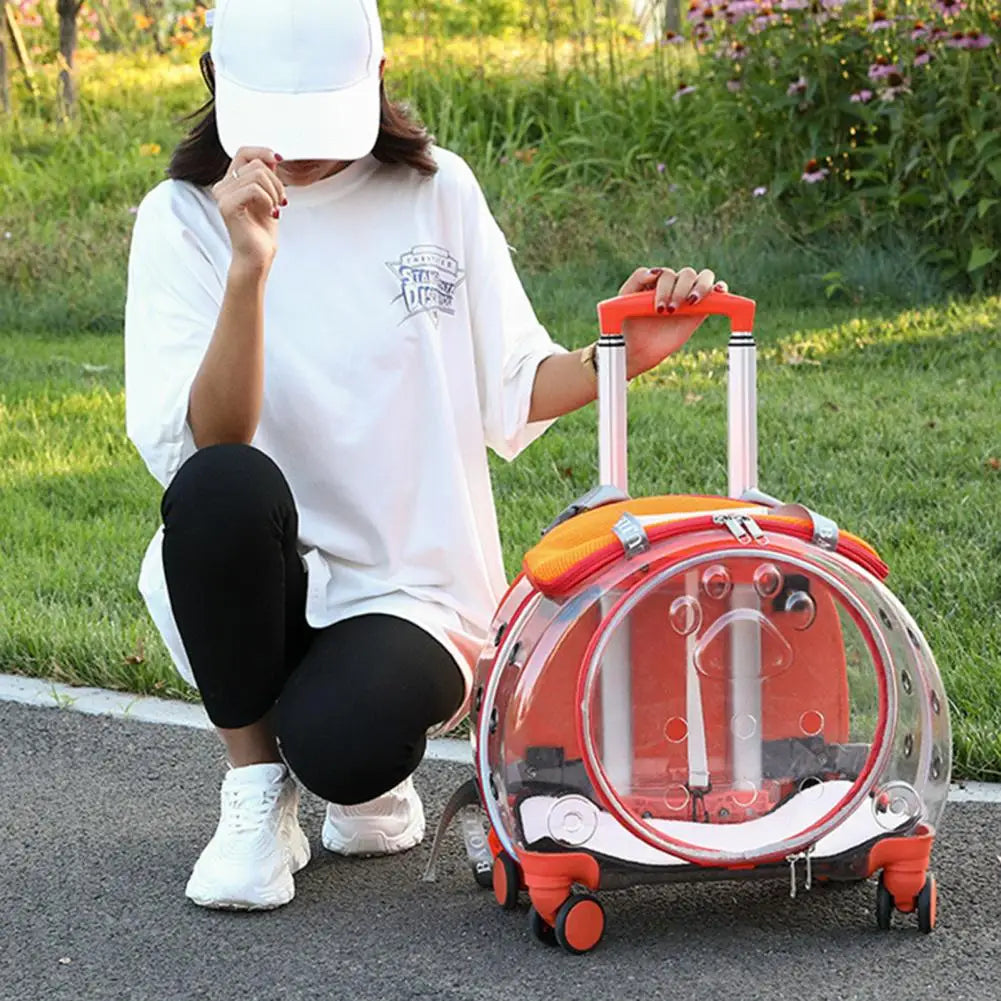 Portable Pet Trolley Case With Ventilation Holes For Cats