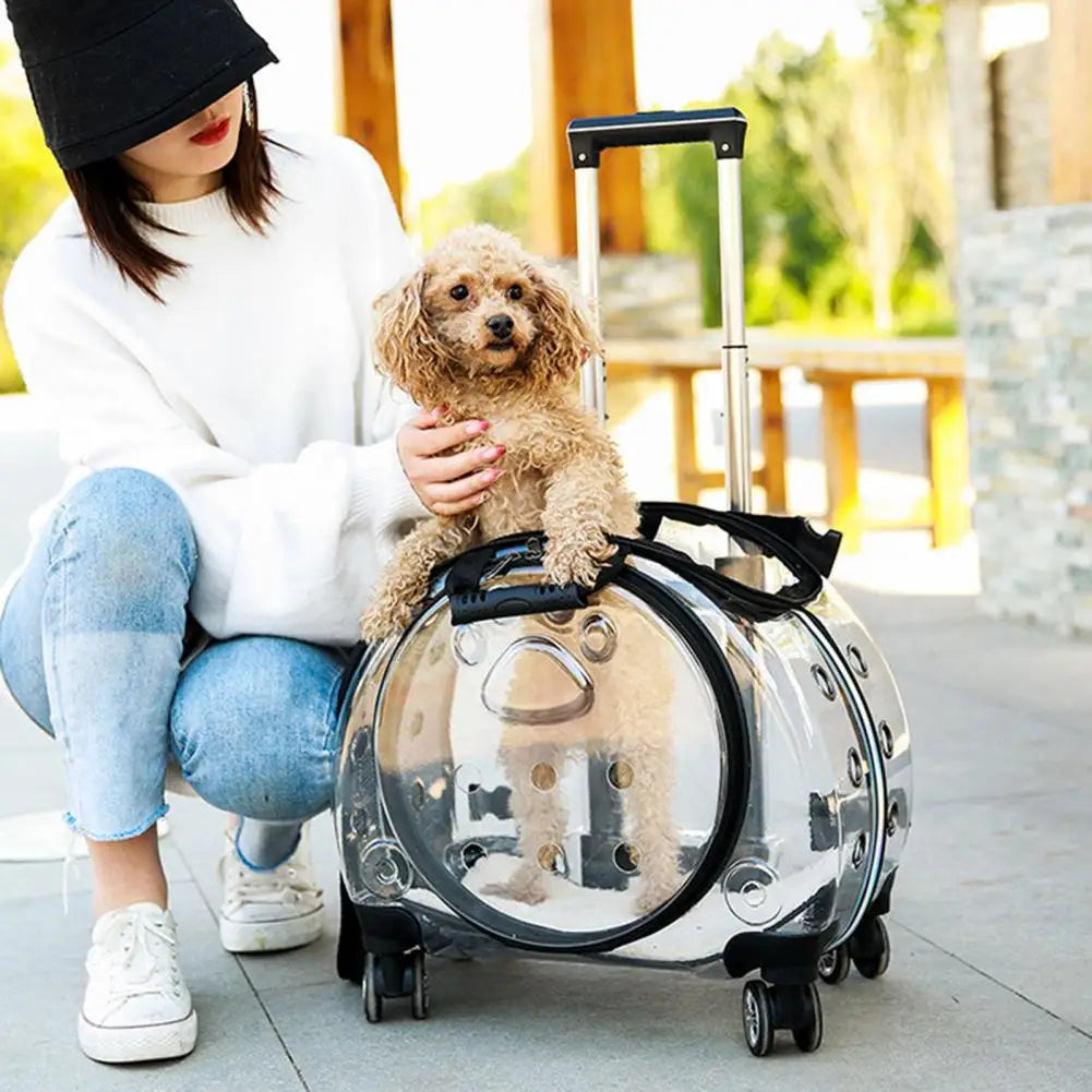 Portable Pet Trolley Case With Ventilation Holes For Cats