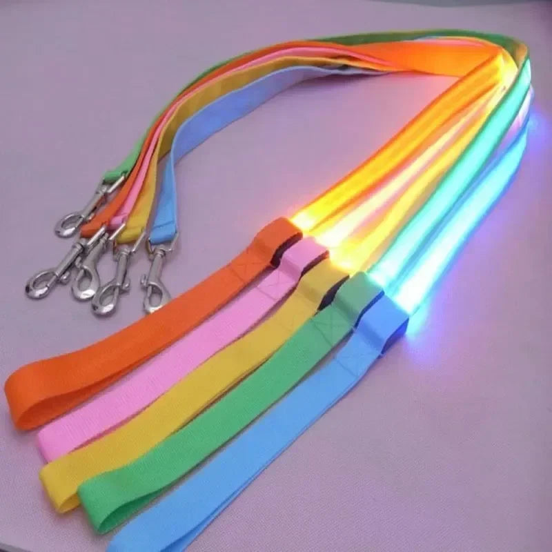 Flashing LED Dog Leash And Harness With Glowing Safety Light