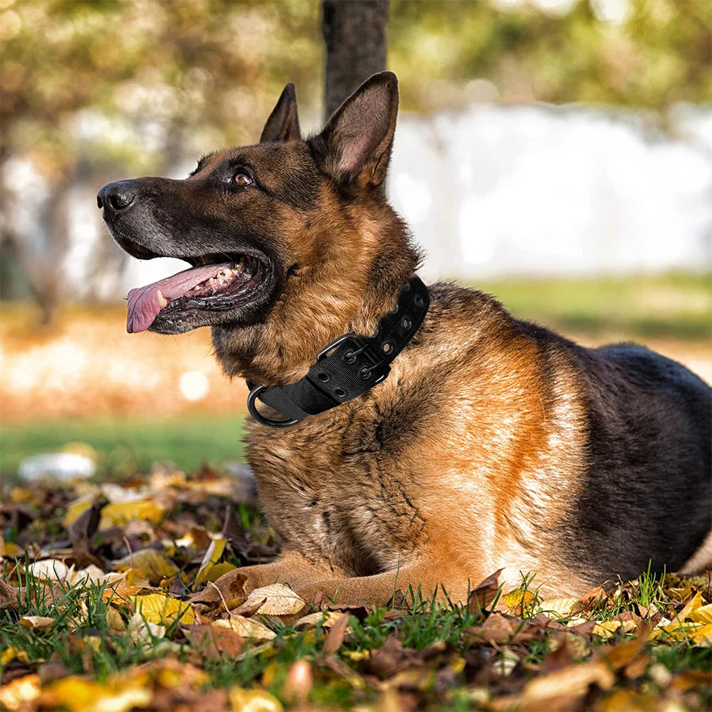 Durable Nylon Tactical Dog Collar For Active Working Pets