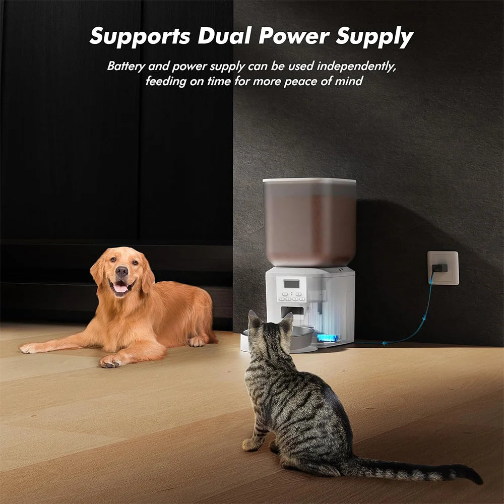 Nityers Automatic Cat Feeder With Voice Recorder And Key Control