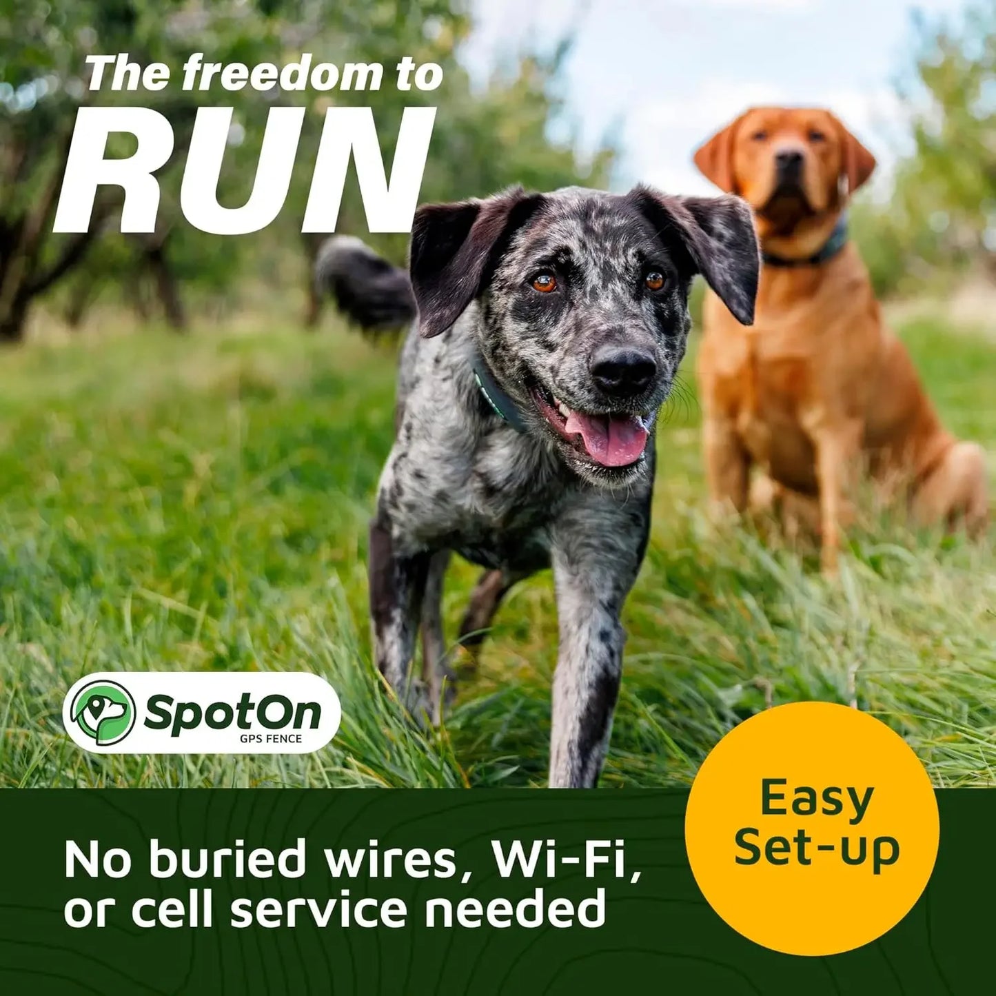 GPS Wireless Dog Fence Collar, Accurate And Reliable, No Subscription